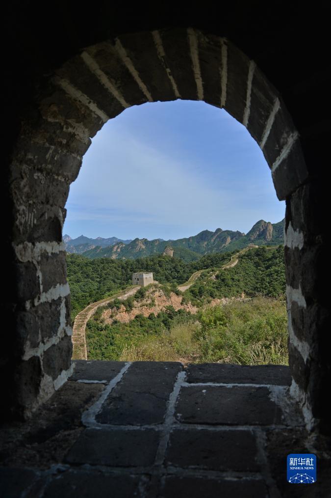 六狮王朝单机下载免费